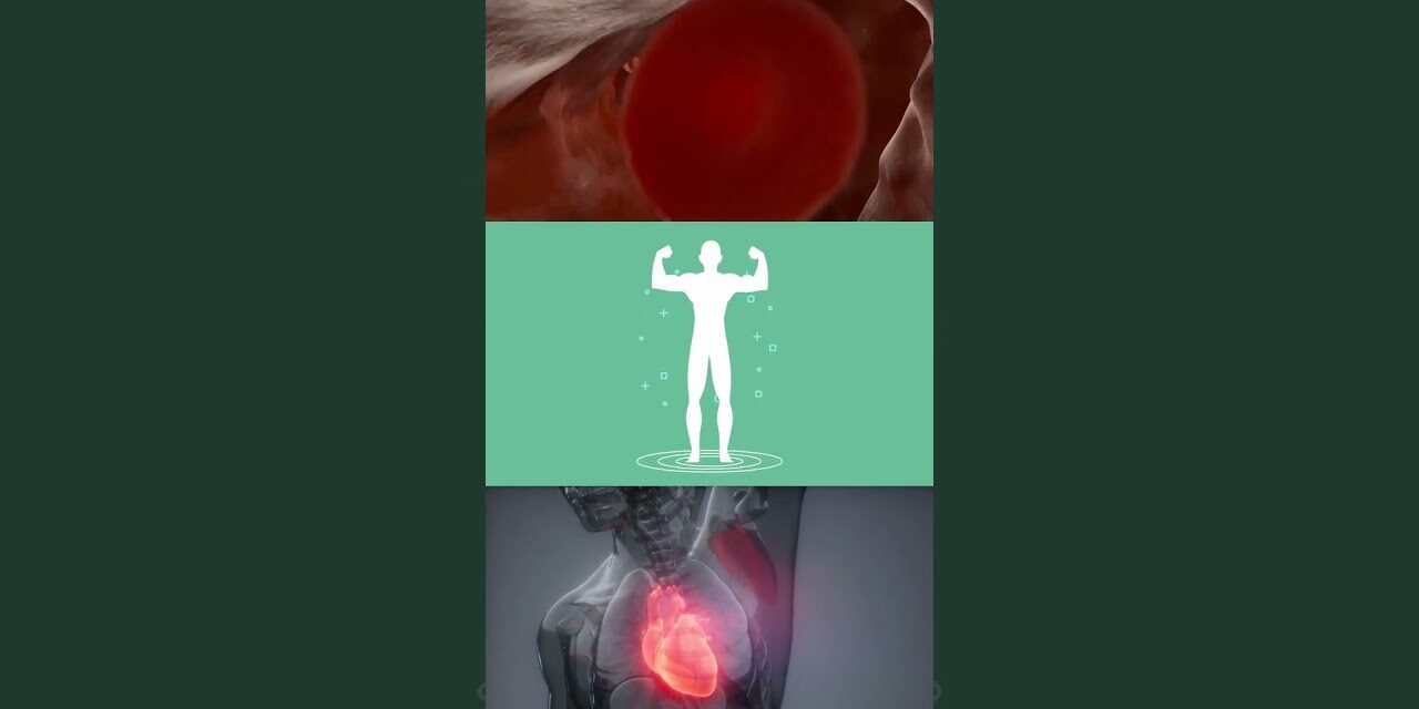 Benefits of Omega 3 #omega3 #supplements #short #shorts #healthylivingtips #brainhealth #biohacking