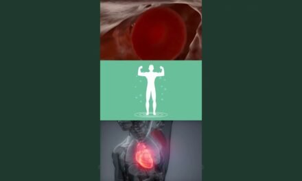 Benefits of Omega 3 #omega3 #supplements #short #shorts #healthylivingtips #brainhealth #biohacking