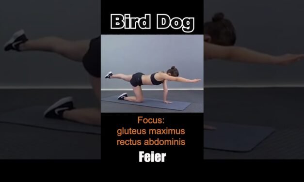 Bird dog #exercise #fitness #fitnesslifestyle #workout #birddog