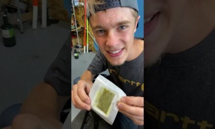 Do Foot Detox Pads Actually Work?