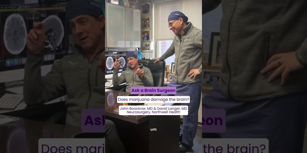 Is marijuana bad for my brain? #AskingForAFriend #shorts