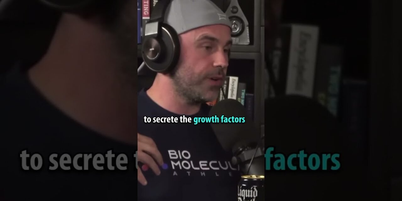 What does Growth Hormone do?