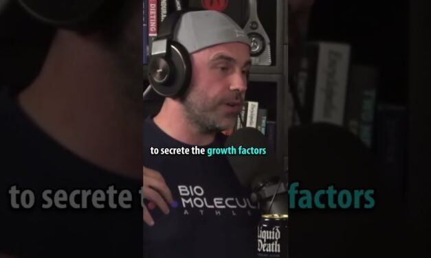 What does Growth Hormone do?
