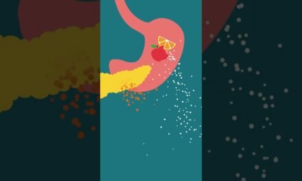 Explaining Insulin Resistance