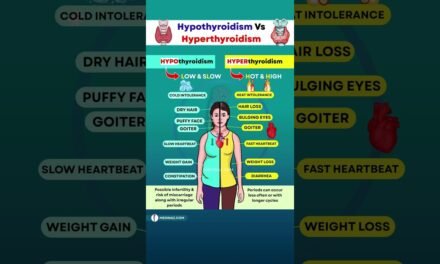 Hypothyroidism vs Hyperthyroidism – Know the Key Differences  #shortsfeed