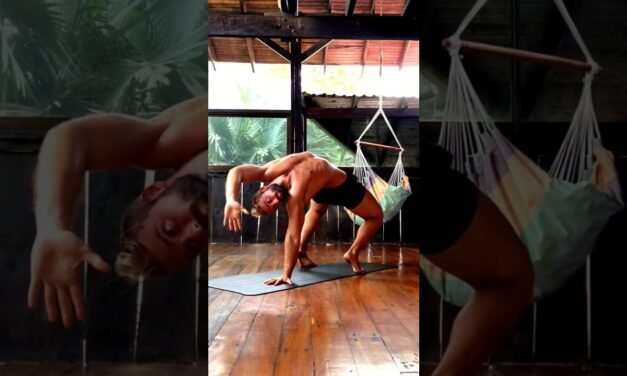 Ido Portal Mobility Drills Functional Training Home Workout Animal Flow Primal Movement Bodyweight