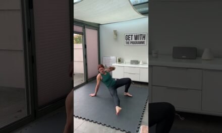 Mini Animal Flow – Level 1