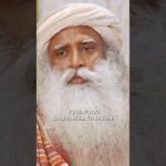 Boost Your Energy, Reduce Your Food Intake