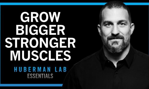 Build Muscle Size, Increase Strength & Improve Recovery | Huberman Lab Essentials