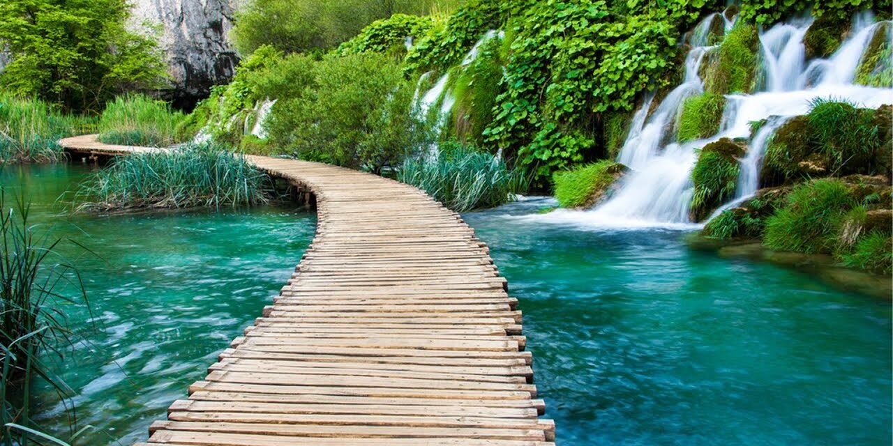 Deep Healing Music, Healing Your Nervous System, Instant Relief from Stress and Anxiety, Calm Nature