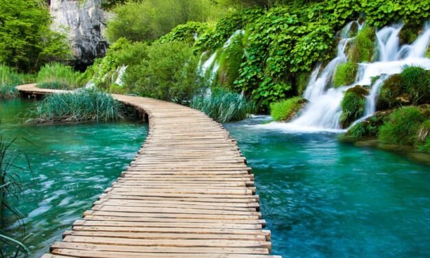Deep Healing Music, Healing Your Nervous System, Instant Relief from Stress and Anxiety, Calm Nature