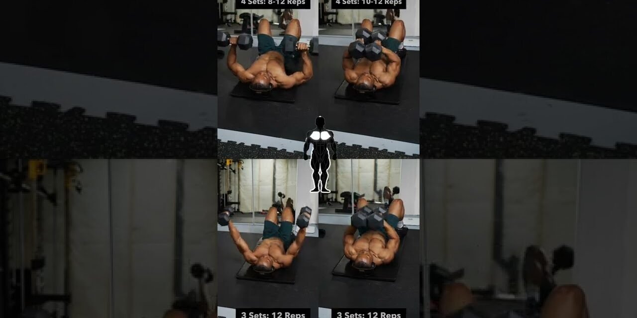 Dumbbell Chest Workout (No bench) #1