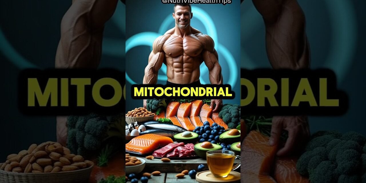 Top 10 Foods for Mitochondrial Health & Natural Energy Boost #mitochondrialhealth  #energy