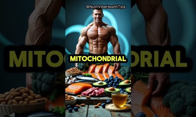 Top 10 Foods for Mitochondrial Health & Natural Energy Boost #mitochondrialhealth  #energy