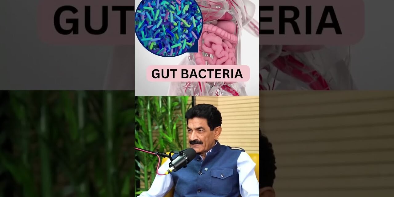 Your gut and brain are in constant communication | Ram Verma NLP Man of India Since 1993