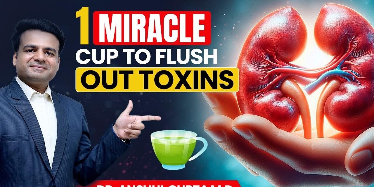 1 CUP To Naturally Detox And Cleanse Kidneys