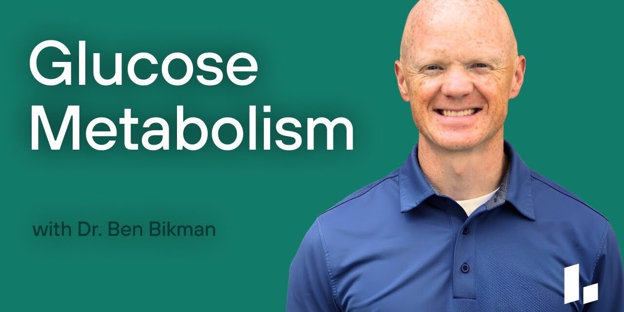 GLUCOSE METABOLISM: HbA1c, Insulin Resistance & Better Energy | Dr. Ben Bikman & Mike Haney
