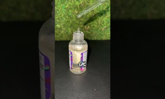Is there a real life counterpart to the limiltless pill? #supplements #biohacking #naturalmedicine