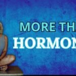 PCOS Is Not Just Hormones | The Whole Body Connection
