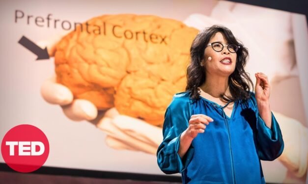 The Brain-Changing Benefits of Exercise | Wendy Suzuki | TED