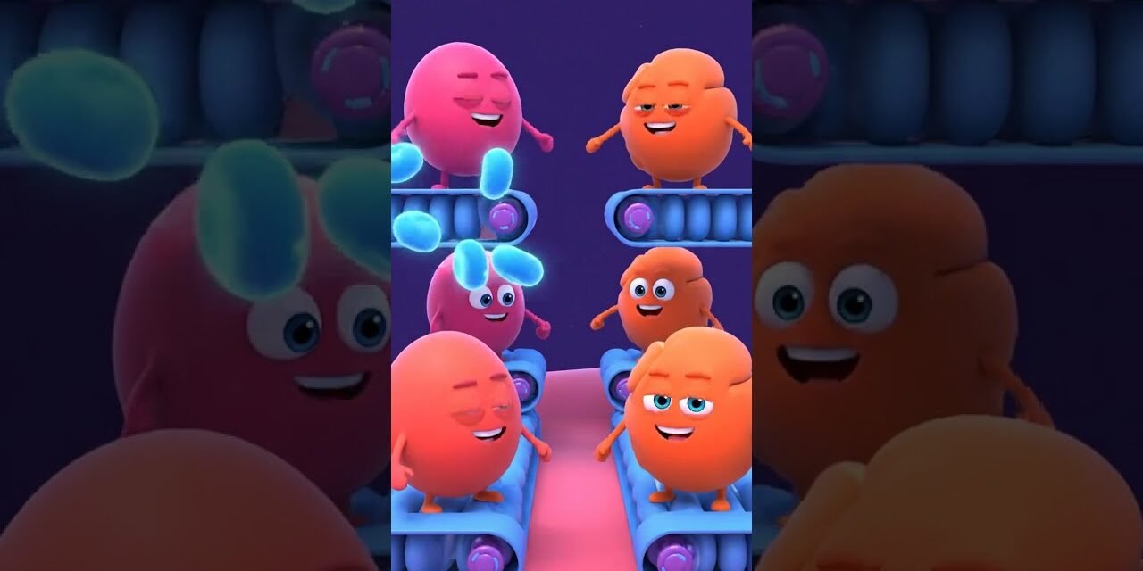 What Happens Inside Your Body When You Eat Sugar #wellnessforlife #healthylifestyle