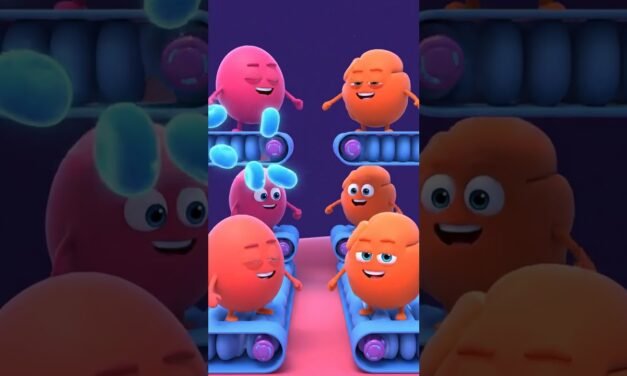 What Happens Inside Your Body When You Eat Sugar #wellnessforlife #healthylifestyle