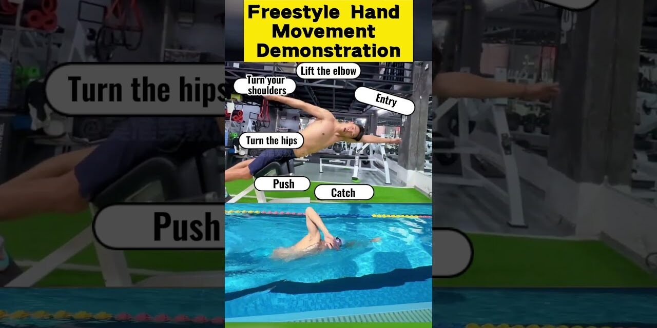 Freestyle hand movements, underwater and dryland movement demonstration.