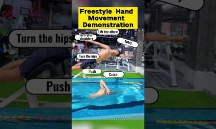 Freestyle hand movements, underwater and dryland movement demonstration.