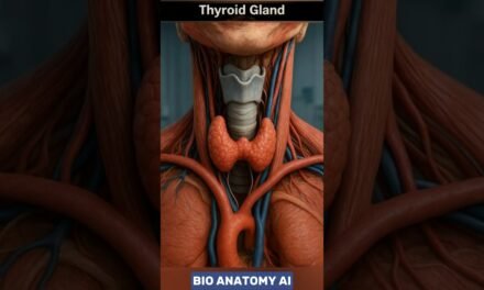 Thyroid Gland Anatomy & Function | Hormones, Growth and Metabolism #thyroid  #humananatomy #hormones