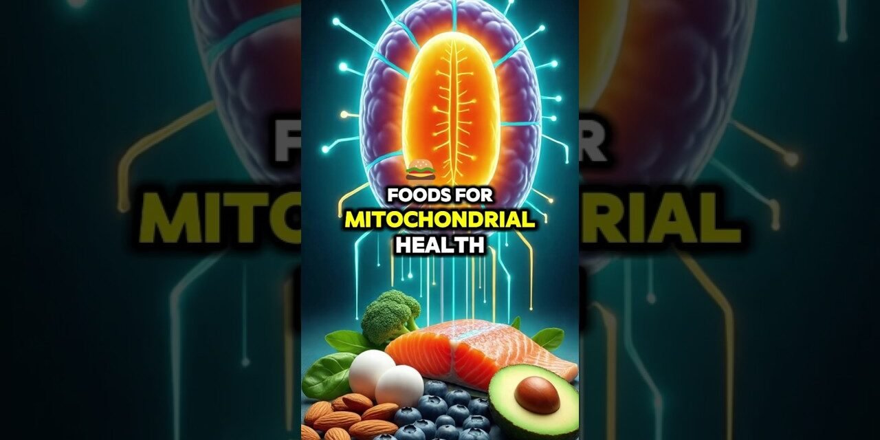 Top 10 Foods for Mitochondrial Health & Energy Boost #health #wellness