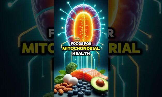 Top 10 Foods for Mitochondrial Health & Energy Boost #health #wellness