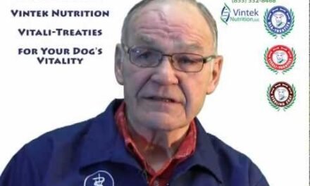 Vitali Treaties for Your Dog's Vitality by Vintek Nutrition
