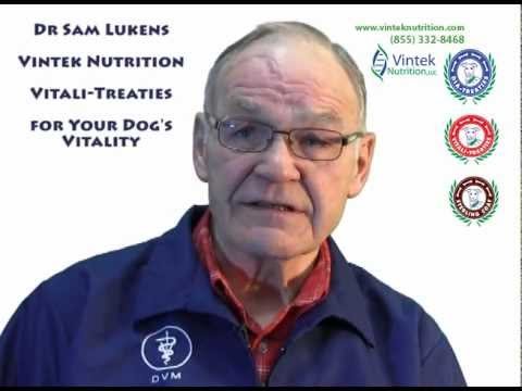 Vitali Treaties for Your Dog's Vitality by Vintek Nutrition