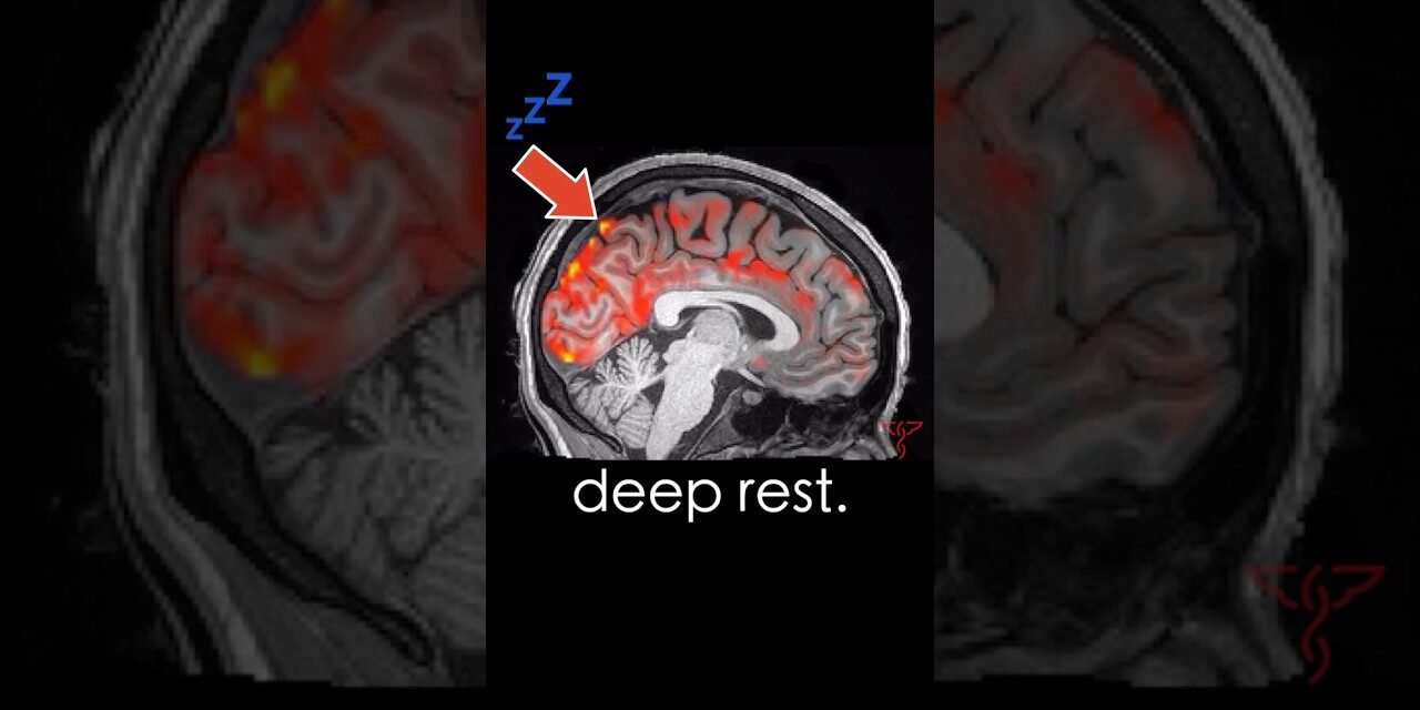 Your Brain Washes itself when you SLEEP! #neuroscience