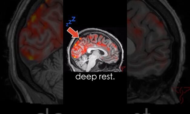 Your Brain Washes itself when you SLEEP! #neuroscience
