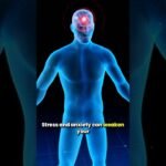 Emotional Wellness & Physical Health | Unlock Your Body’s Healing Power Through Mind-Body Connection