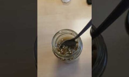 Personal Power Nutrition Fun: Chia Hemp Heart Porridge or Pudding – Vitality & Digestion
