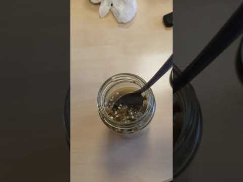 Personal Power Nutrition Fun: Chia Hemp Heart Porridge or Pudding – Vitality & Digestion